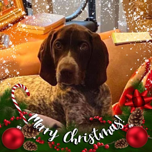 Meet your Posher, Howard - Picture 1 of 1